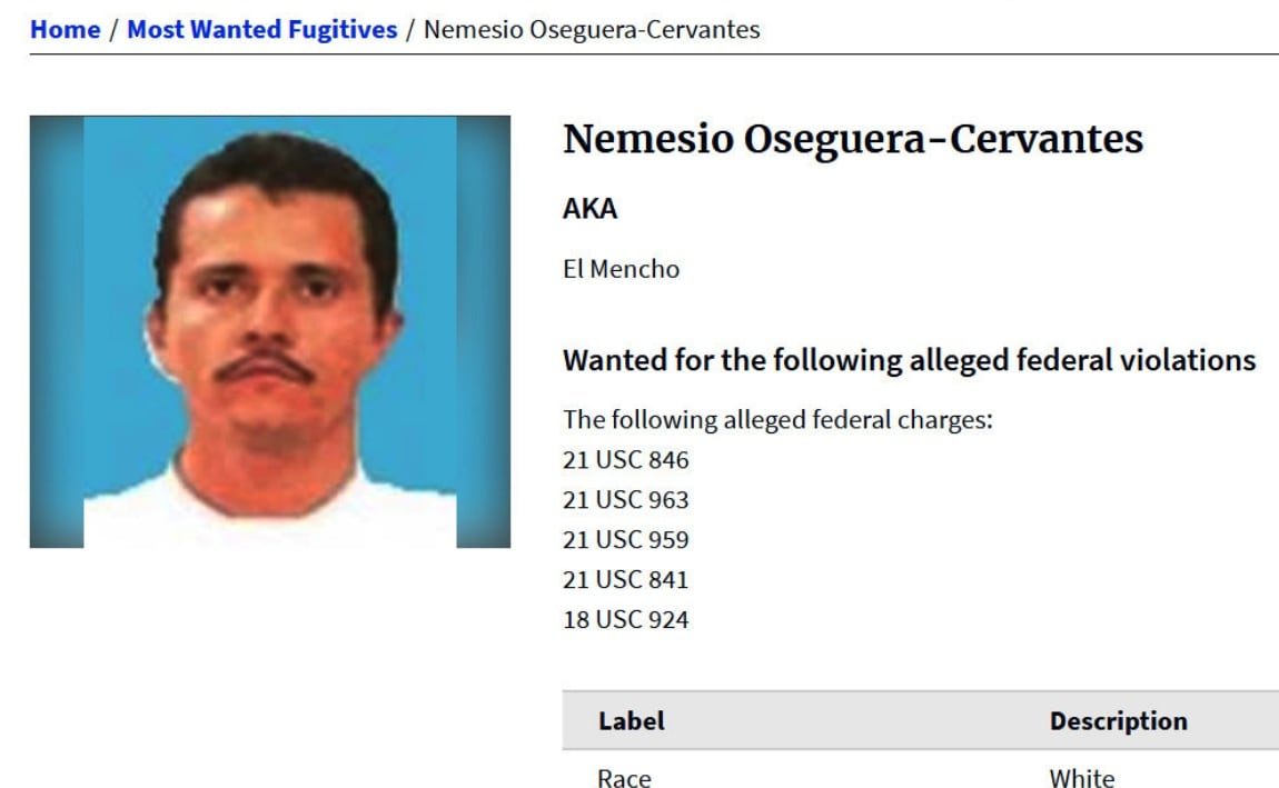 CJNG Leadership: Is Jessica Oseguera Next for El Mencho's Cartel?